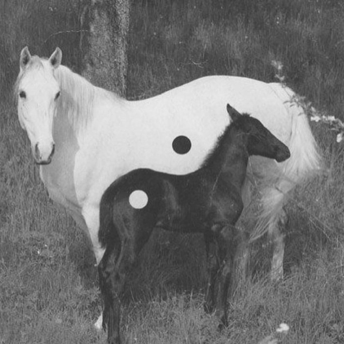 The Yin Ritual: A Return to the Body