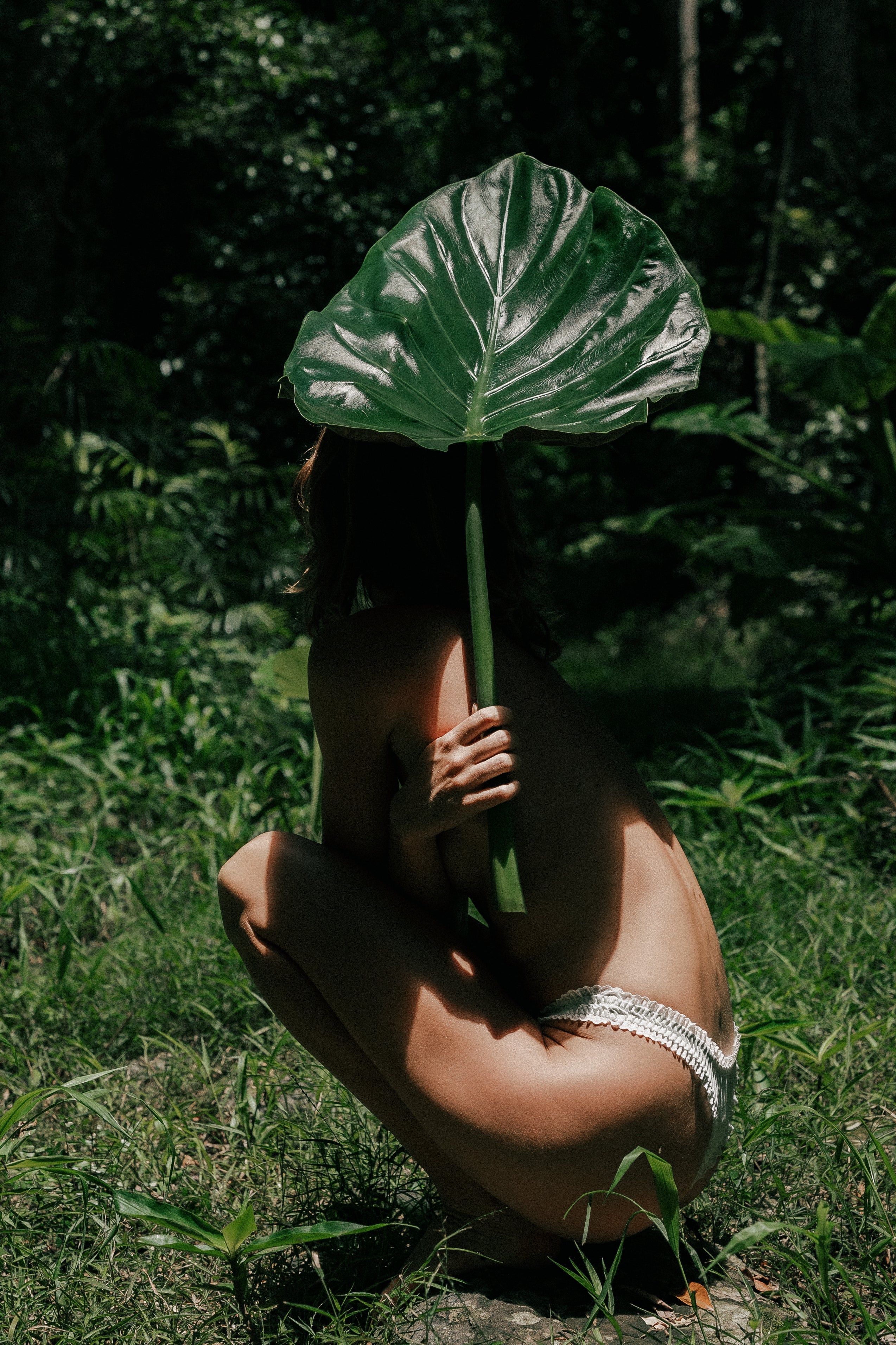 Artist in Residence: A New Creative Evolution