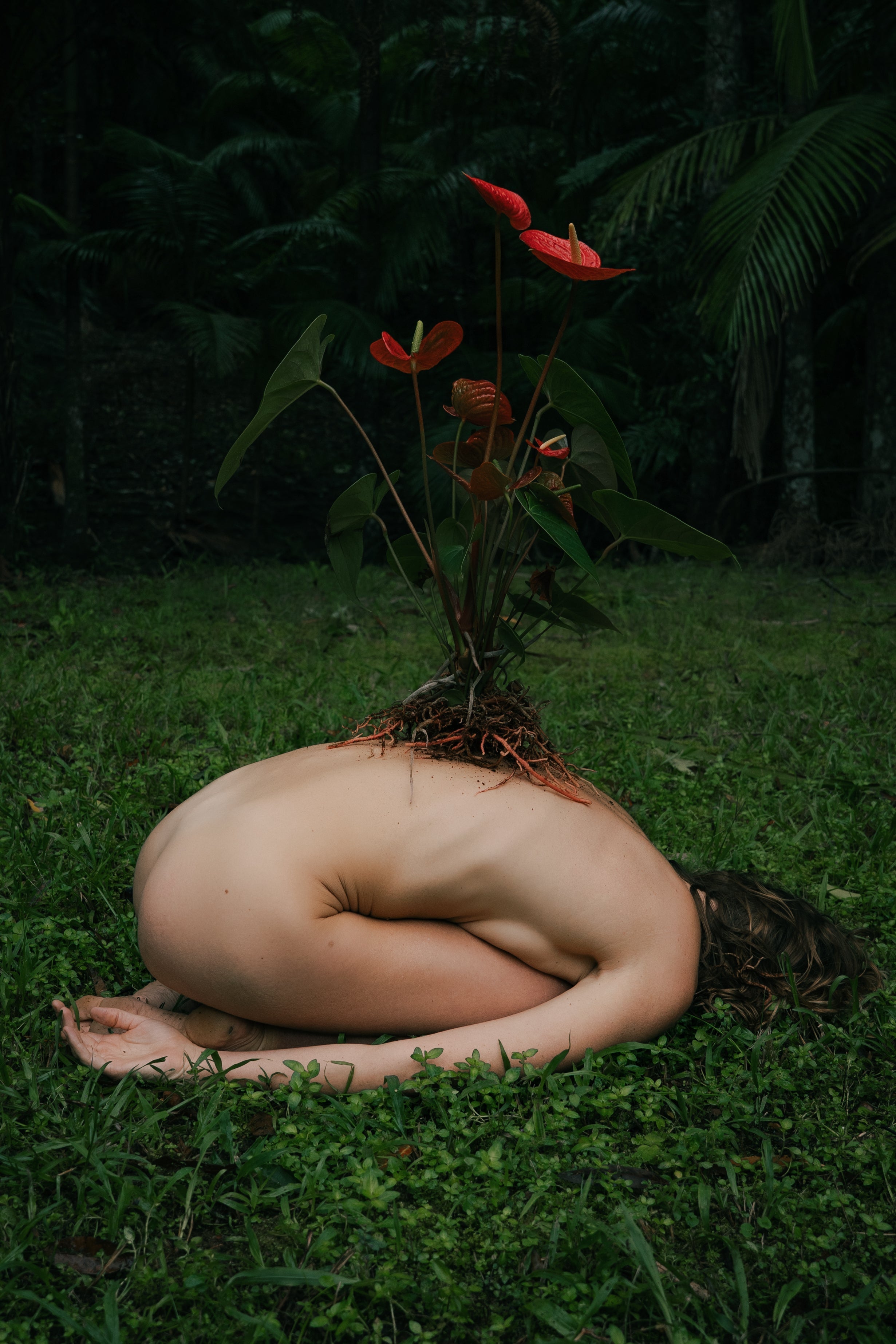 Our Tree Planting Day with Reforest Now