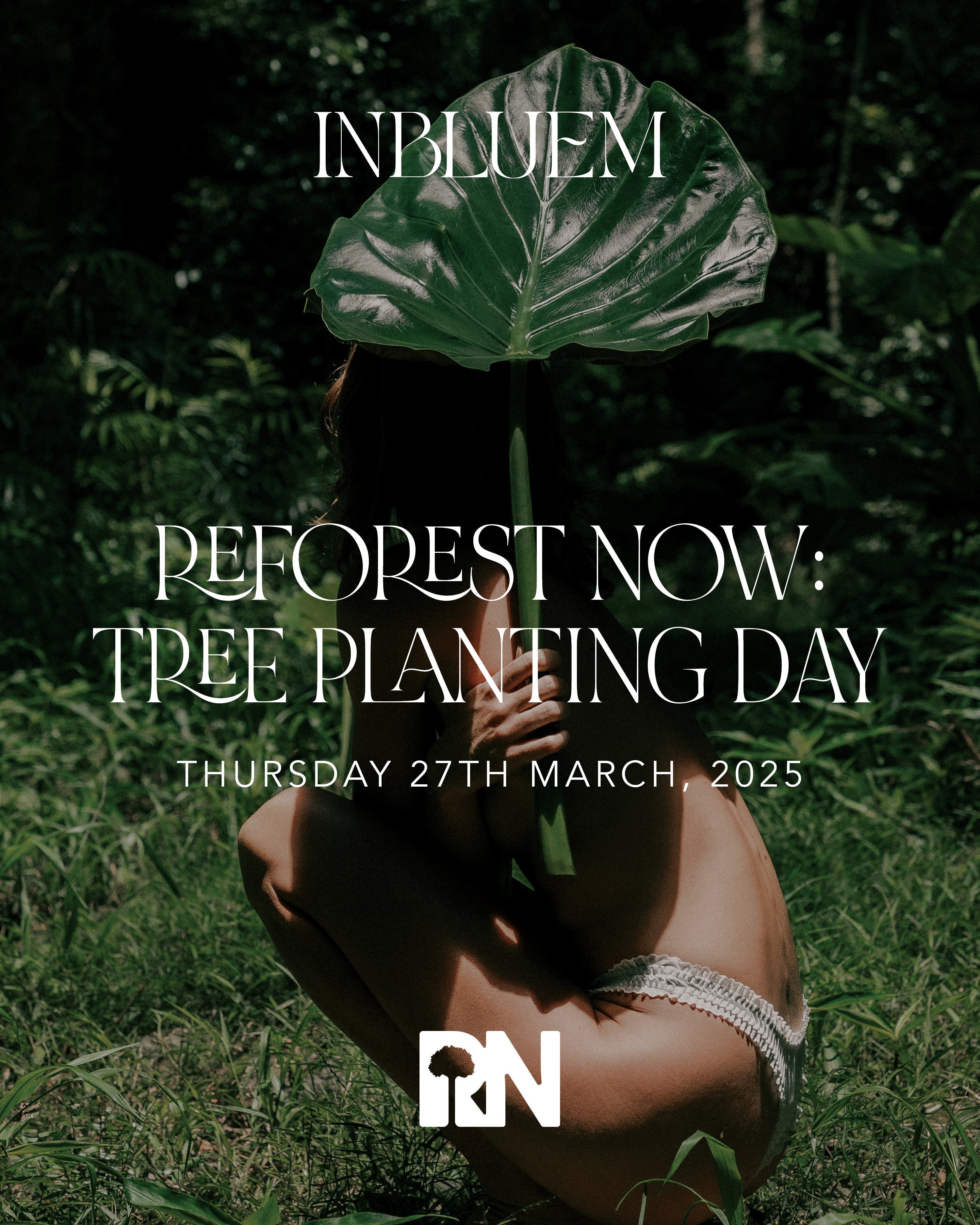 Reforesting for the Future