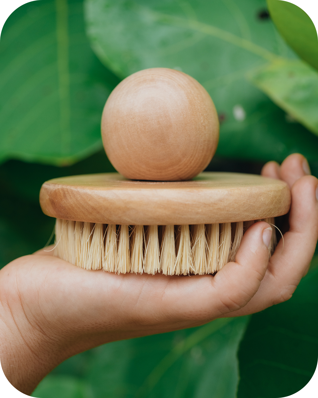 Enhanced Circulation and Detoxification Through the Art of Body Brushing