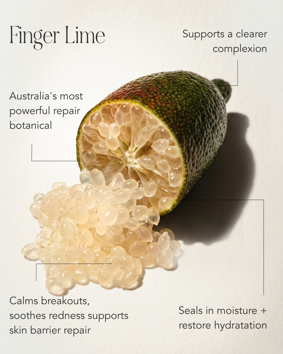 Finger Lime ~ Repair Serum
